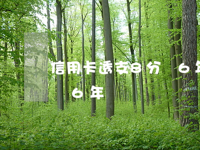 信用卡透支8分錢6年為還(信用卡透支8分錢6年為還)
