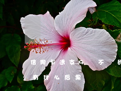 信用卡透支9萬不還的后果(信用卡8萬不還有什么后果)
