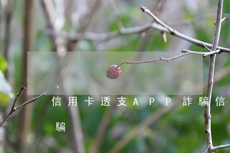 信用卡透支APP詐騙(信用卡透支app詐騙)