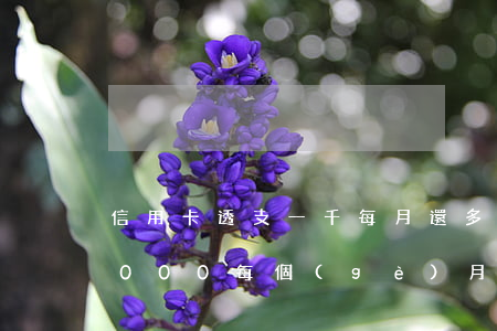 信用卡透支一千每月還多少(透支信用卡10000,每個(gè)月利息多少錢)
