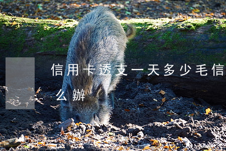 信用卡透支一天多少毛(信用卡透支幾百塊怎么辦)