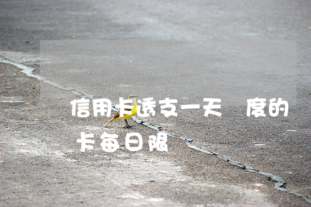 信用卡透支一天額度的規(guī)定(信用卡 每日限額)