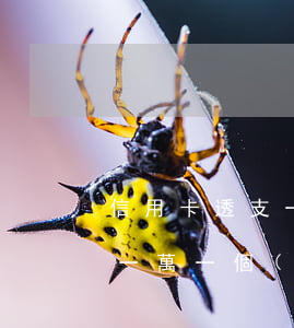 信用卡透支一年后還多少錢(在信用卡透支了一萬一個(gè)月利息多少錢)