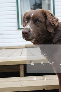 信用卡透支一百多萬還不上怎么辦-信用卡透支一百多萬還不上怎么辦呢