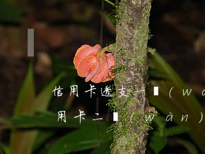 信用卡透支一萬(wàn)兩年還不還(欠信用卡二萬(wàn)四年沒(méi)還)