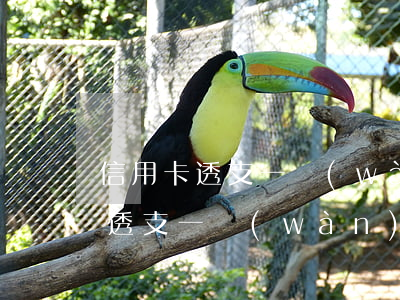 信用卡透支一萬(wàn)日息多少(信用卡透支一萬(wàn)日息多少)