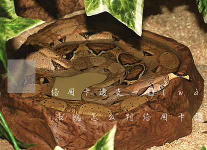信用卡透支一萬(wàn)逾期未還被起訴法院怎么判（信用卡透支一萬(wàn)逾期）