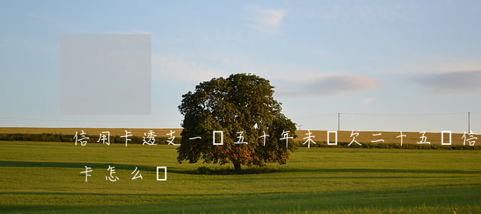信用卡透支一萬五十年未還(欠二十五萬信用卡怎么辦)