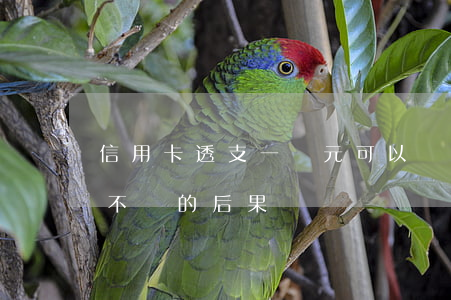 信用卡透支一萬元可以嗎(信用卡透支一萬元不還的后果)