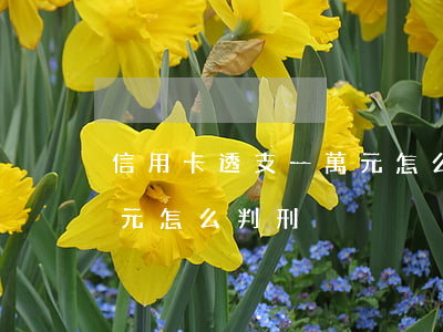 信用卡透支一萬元怎么判刑(信用卡透支一萬元怎么判刑)