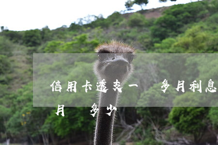 信用卡透支一萬多月利息(信用卡透支2萬每月還多少)