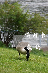 信用卡透支一萬多還不了(信用卡透支一萬元最低還款多少)