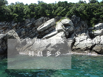 信用卡透支三千利息怎么算(銀行信用卡3萬利息多少)