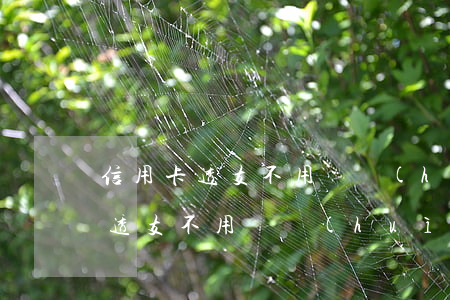 信用卡透支不用還會(huì)怎樣(信用卡透支不用還會(huì)怎樣)