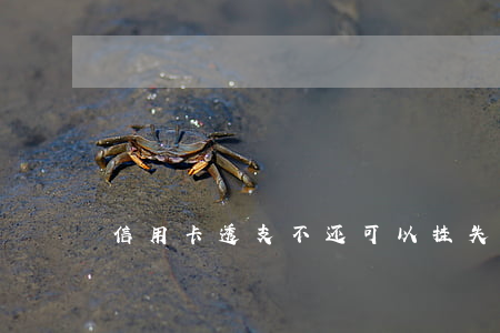 信用卡透支不还可以挂失吗