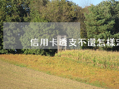 信用卡透支不還怎樣定罪(信用卡透支犯法嗎)