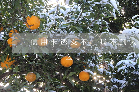 信用卡透支不還找不到人(信用卡不還找不到人會怎么樣)