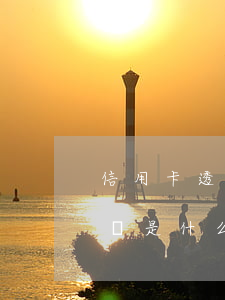 信用卡透支不還收到起訴(信用卡還不起被起訴是什么結(jié)果)
