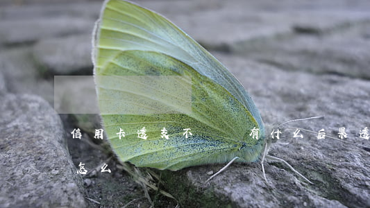 信用卡透支不還會有什么后果(透支卡不還會怎么樣)