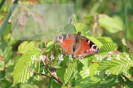 信用卡透支不還的后果(欠信用卡透支不還會(huì)有什么問(wèn)題)