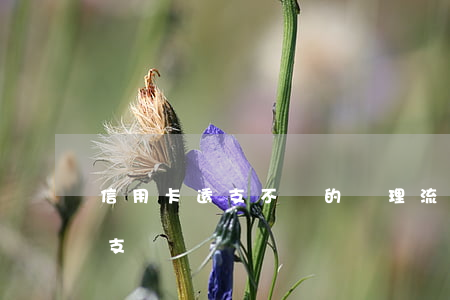 信用卡透支不還的處理流程(怎么辦信用卡透支)
