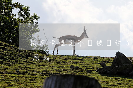 信用卡透支不還被鎖住了(信用卡被鎖是什么原因)