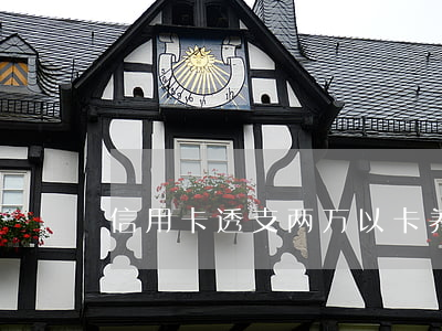 信用卡透支两万以卡养卡(信用卡刷卡养卡)