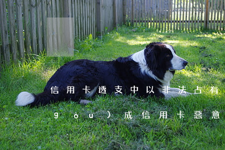 信用卡透支中以非法占有為(什么情況下構(gòu)成信用卡惡意透支)