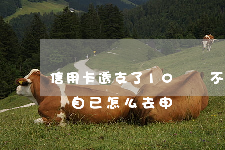 信用卡透支了10萬還不上怎么辦-停息掛賬自己怎么去申請