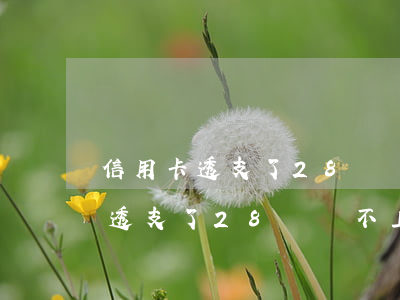 信用卡透支了28萬還不上怎么辦-信用卡透支了28萬還不上怎么辦呢