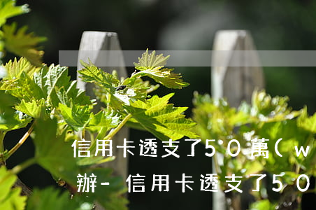 信用卡透支了50萬(wàn)還不上怎么辦-信用卡透支了50萬(wàn)還不上怎么辦呢
