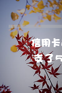 信用卡透支了5萬還不上怎么辦-信用卡透支了5萬還不上怎么辦呢