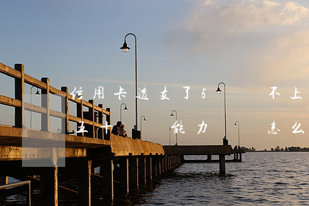 信用卡透支了5萬還不上怎么辦(信用卡透支五十萬沒能力償還怎么辦)