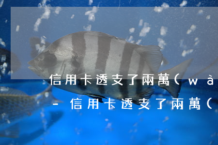 信用卡透支了兩萬(wàn)還不上怎么辦-信用卡透支了兩萬(wàn)還不上怎么辦呢