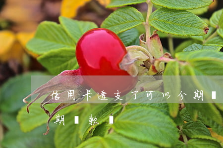 信用卡透支了可以分期嗎(信用卡透支可以分期還款嗎)