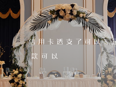 信用卡透支了可以還最低嗎(透支卡還最低還款可以嗎)