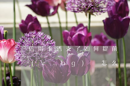 信用卡透支了如何提前還款(透支的信用卡應(yīng)該怎么還)