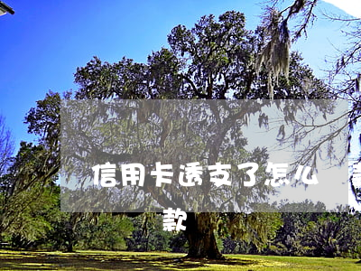 信用卡透支了怎么還款日期(透支卡每個月幾號還款)