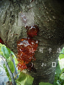 信用卡透支了會(huì)自動(dòng)扣錢嗎(錢放在信用卡里面他會(huì)自動(dòng)扣的嗎)