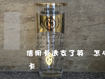 信用卡透支了英鎊怎么還款(英鎊退款到信用卡)