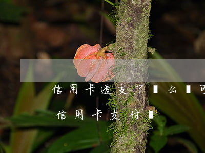 信用卡透支了這么還可以付(支付寶可以透支信用卡支付嗎)