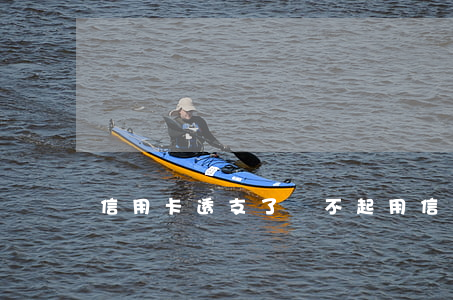 信用卡透支了還不起(用信用卡透支)
