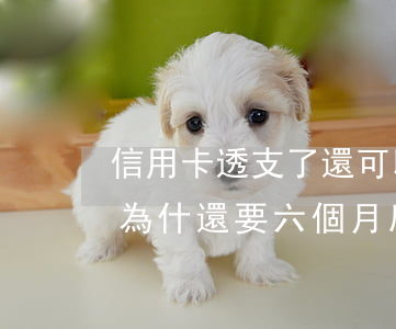 信用卡透支了還可以刷嗎(信用卡透支還清后為什還要六個月后才能用)