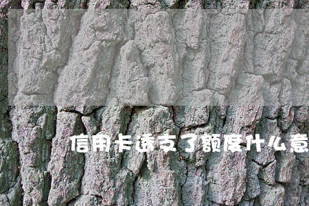 信用卡透支了额度什么意思(信用额度已透支)
