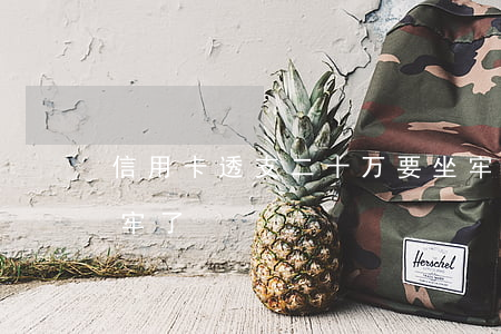 信用卡透支二十万要坐牢吗(信用卡2千我坐牢了)