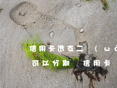 信用卡透支二萬(wàn)能分期還嗎(透支可以分期嗎信用卡)