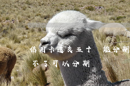 信用卡透支五十萬能分期嗎(欠五萬信用卡還不了可以分期還嗎)