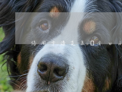 信用卡透支五萬(wàn)逾期一年未還款