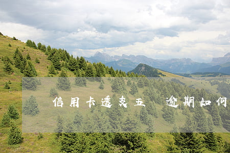 信用卡透支五萬逾期如何(5萬信用卡逾期)