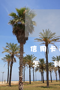 信用卡透支五萬逾期如何(信用卡欠五萬逾期怎樣判)